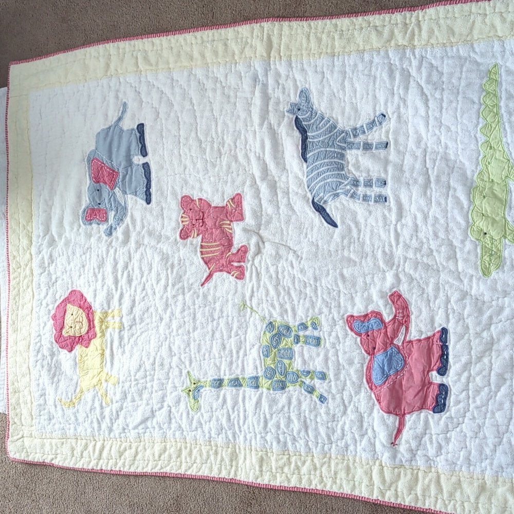 Pottery Barn Kids Applique blanket